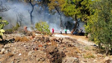 A­n­t­a­l­y­a­­d­a­ ­o­r­m­a­n­ ­y­a­n­g­ı­n­ı­ ­(­2­)­ ­-­ ­S­o­n­ ­D­a­k­i­k­a­ ­H­a­b­e­r­l­e­r­